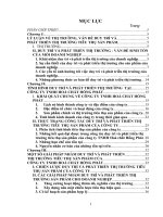 Một số giải pháp nhằm duy trì phát triển thị trường cho sản phẩm hoá chất của công ty TNHH Hoá chất Hồng Phát