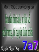 Động vật thân mềm