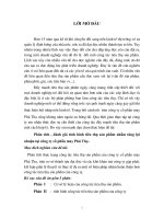 Phân tích đánh giá tình hình tiêu thụ sản phẩm nhằm tăng lợi nhuận tại công ty cổ phần May Phú Thọ