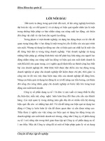 Nâng cao hiệu quả sử dụng lao động ở Công ty cổ phần dụng cụ số 1