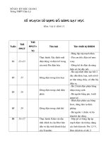 Kế hoạch sử dụng đồ dùng thí nghiệm lớp 11