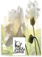 TĐ_ Kì diệu rừng xanh