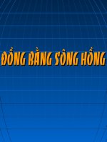 Đồng bằng sông Hồng