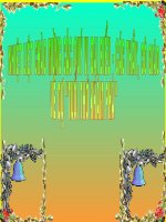 Tổ chức trò chơi hay