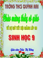 Phương pháp nghiên cứu di truyền người