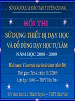 Tiet 30 (SH 10CB) cau truc cac loai virut