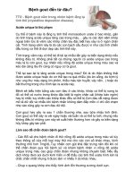 bệnh gout đến từ đâu