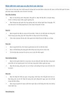 Nhận biết tính cách qua sự yêu thích các loài hoa