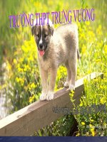 CACBOHIDRAT, LIPIT VÀ PROTEIN