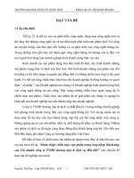 Hoàn thiện chiến lược sản phẩm trong hoạt động Marketing của Chi nhánh công ty TNHH thương mại & dịch vụ Mắt Bão