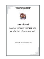 SKKN TẬP LÀM VĂM