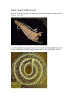 hình ảnh hay về rắn