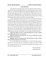 hoàn thiện hoạt động của Công ty TNHH Dịch vụ Kiểm toán, Kế toán và Tư vấn thuế.