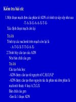 bài 17 mối quan hệ giữa gen và ARN