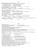 Đề thi trắc nghiệm đủ các phần