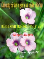 Thao giang GVG Tỉnh Thái Bình
