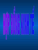 Hợp Đồng kinh tế