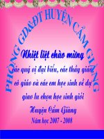 Rung chuông vàng huyện Cẩm Giàng - Hải Dương
