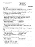 Đề thi 8 tuần học kỳ 2