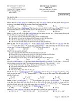 Đề ôn tập các định luật Niu tơn mã 570