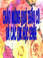 bài 26 - tiết 105