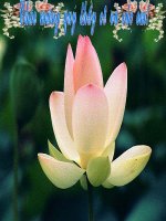 tiết 88: Từ ấy