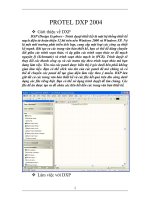 Làm việc với DXP