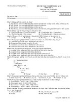 ĐÊ HKII_tin 11HK2_512