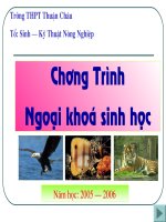 Giao an sinh trinh chieu hay