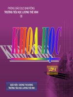 Bóng tối - Khoa học4