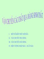 van chuyen cac chat qua mang