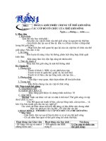 giao an sh10 cb- tuan 1-3- duyen