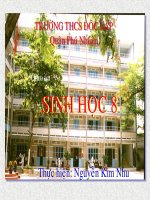 Sinh 8 - Tim và mạch máu 1