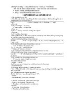 Cac dang dac biet (conditional sentence)