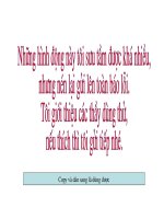 Hình động cực hay