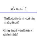 tiet 10-vc cac chat qua MSC(SH-10)-cuc hay