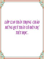 THỰC HÀNH VỀ HÀM Ý ( 2 TIẾT )