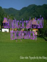 Tiết 56. Thực vật góp phần điều hoà khí hậu