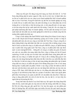 Các giải pháp marketing cho sản phẩm sữa Bavi của công ty TNHH truyền thông Poly Skype tại thị trường Hà Nội