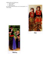 ngôn ngữ Mèo - Dao