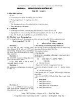 giáo án 11 chương 6