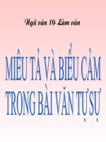 Mieu ta bieu cam trong van tu su