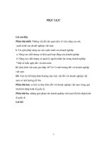 cơ hội và thác thức đối với doanh nghiệp việt nam trong quá trình hội nhập kinh tế quốc tế