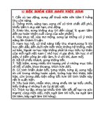 10 Đặc điểm của người Việt Nam