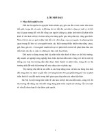 NHỮNG PHƯƠNG HƯỚNG VÀ GIẢI PHÁP PHÁT TRIỂN THỊ TRƯỜNG NHÀ ĐẤT Ở NƯỚC TA