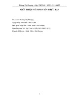 Đánh giá thực trạng kinh doanh và định hướng phát triển công ty giầy Golden Sun