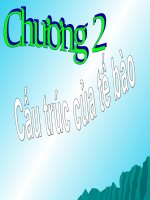 Bài 7: Tế bào nhân sơ