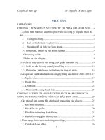 Hoàn thiện chính sách marketing của công ty cổ phần nhựa Hà Nội 