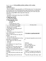 Vùng Đông Nam Bộ