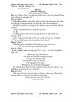 DE THI GIAO LUU HSG LOP 5